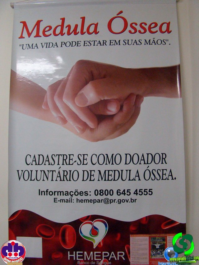 DSC00280.jpg