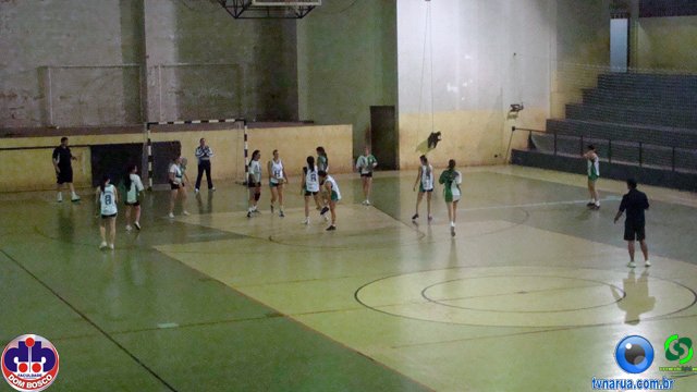 DSC08007.jpg