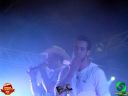 DSC02354.jpg