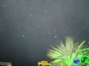 DSC09487.jpg