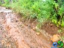 DSC04698.jpg