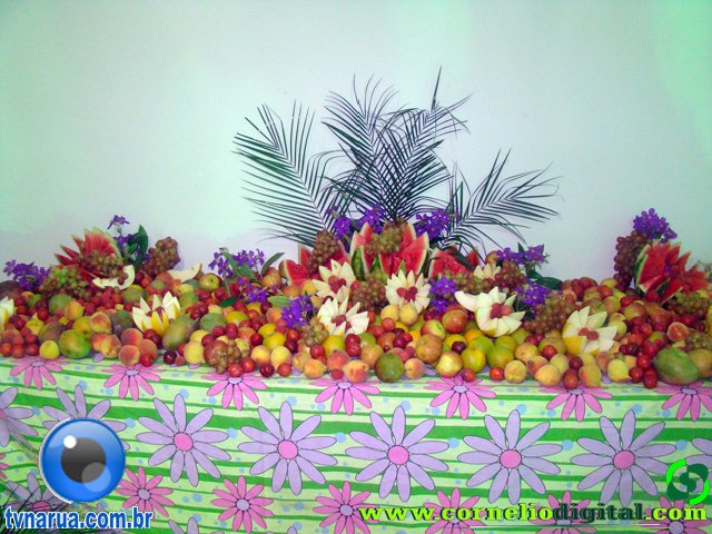 DSC02419.jpg