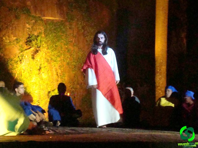 DSC08994.jpg