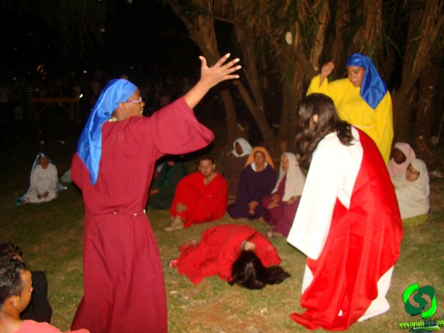 DSC09032.jpg