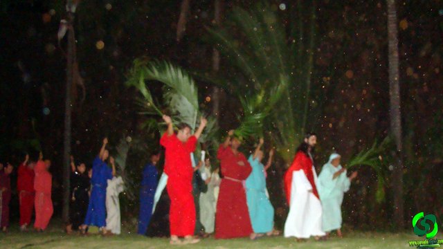 DSC09044.jpg