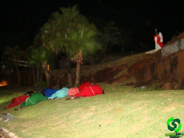 DSC09103.jpg