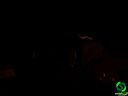 DSC09082.jpg