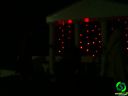 DSC09277.jpg
