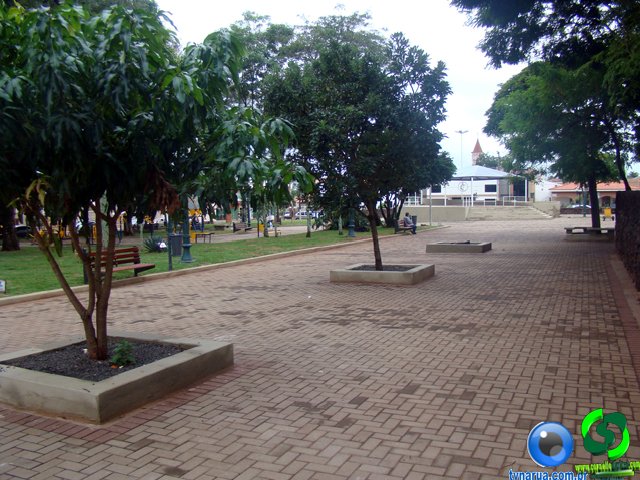 DSC00524.jpg