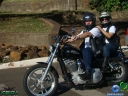 DSC03834.jpg