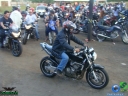 DSC03954.jpg