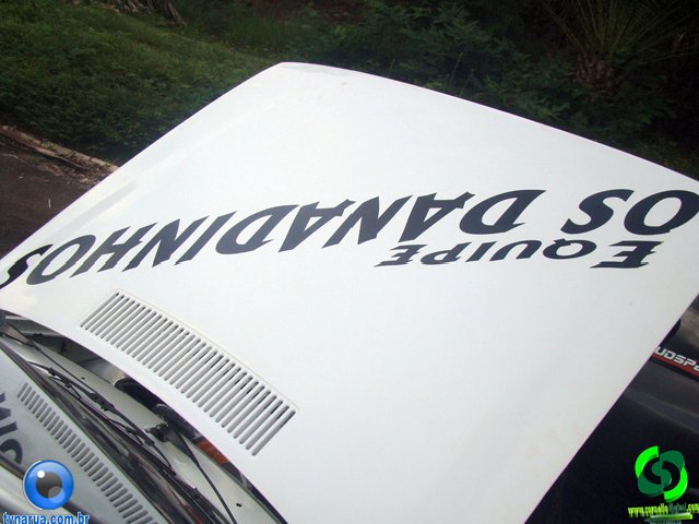 DSC01466.jpg