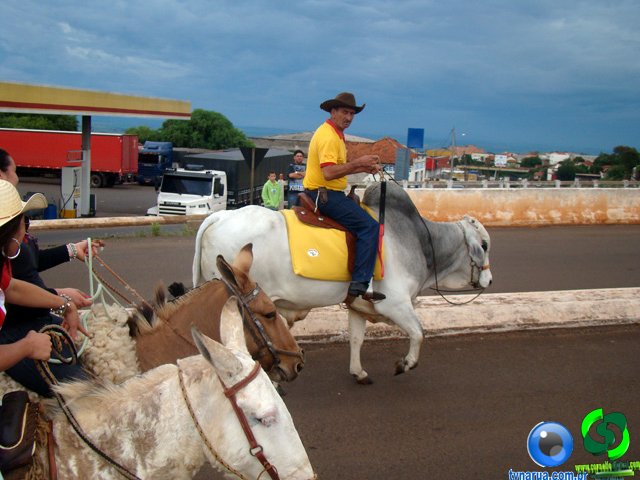 DSC07168.jpg
