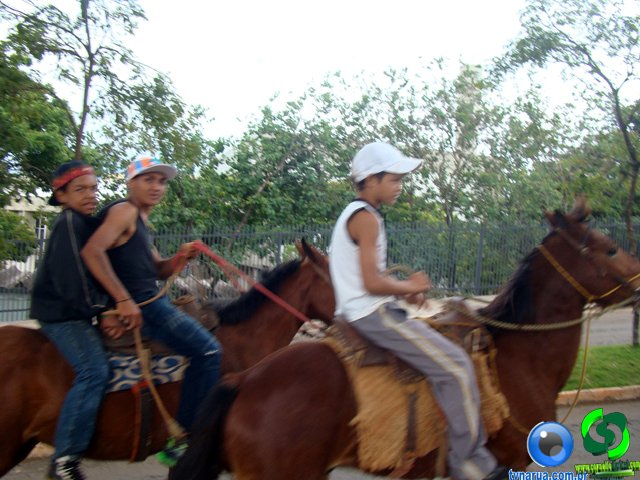 DSC07248.jpg