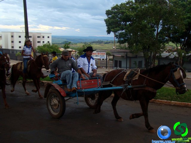 DSC07251.jpg