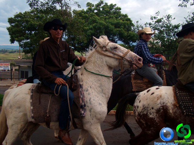 DSC07254.jpg