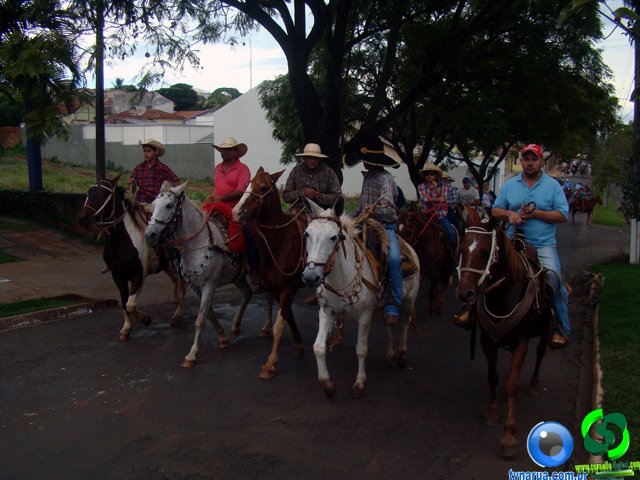 DSC07290.jpg