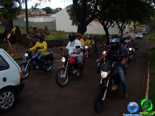 DSC07312.jpg