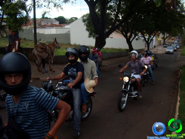 DSC07313.jpg