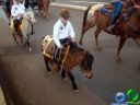 DSC07195.jpg