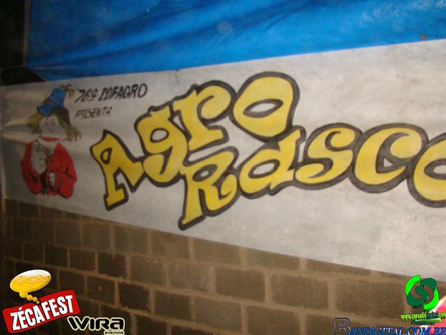 DSC00220.jpg