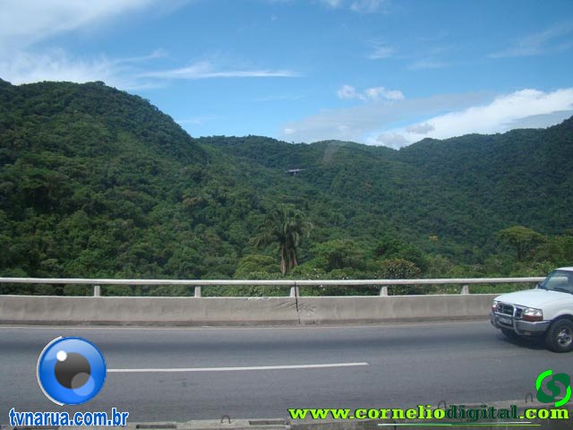 DSC03485.jpg