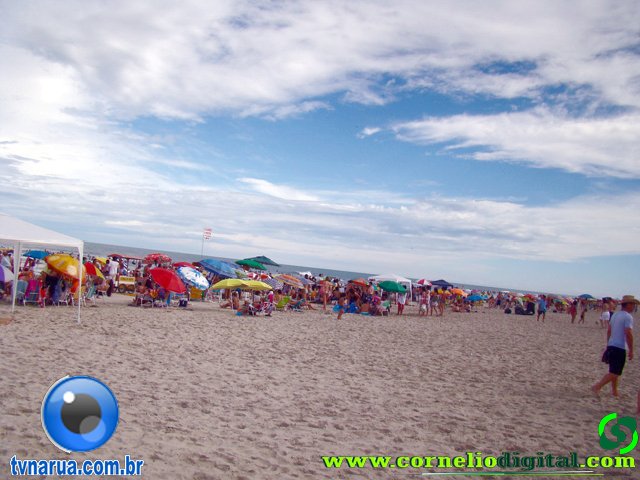 DSC03592.jpg