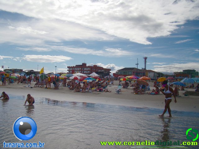 DSC03597.jpg