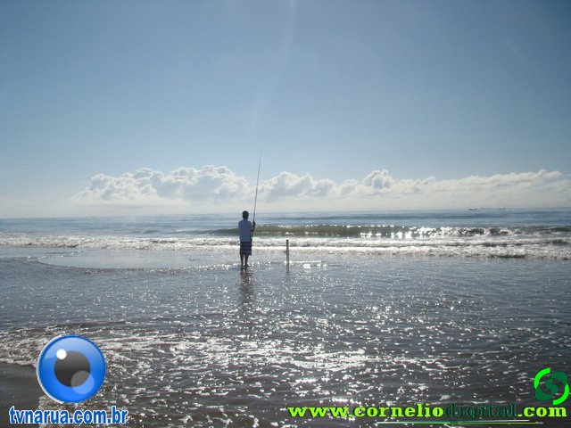 DSC04037.jpg