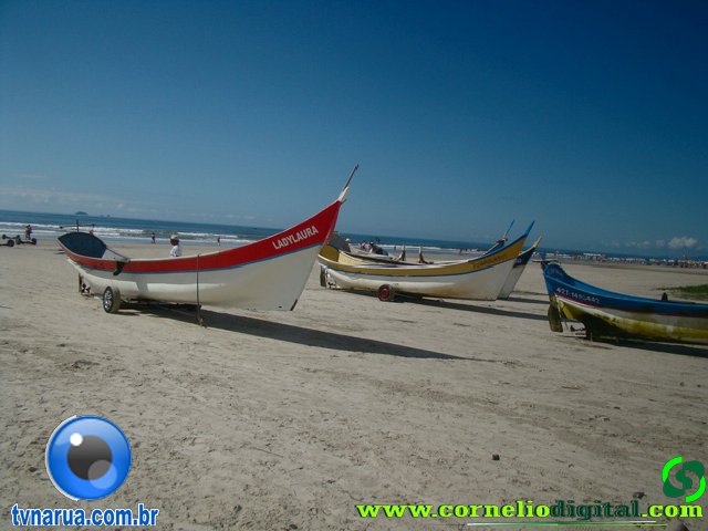 DSC04113.jpg