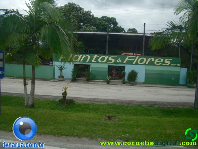 DSC04201.jpg