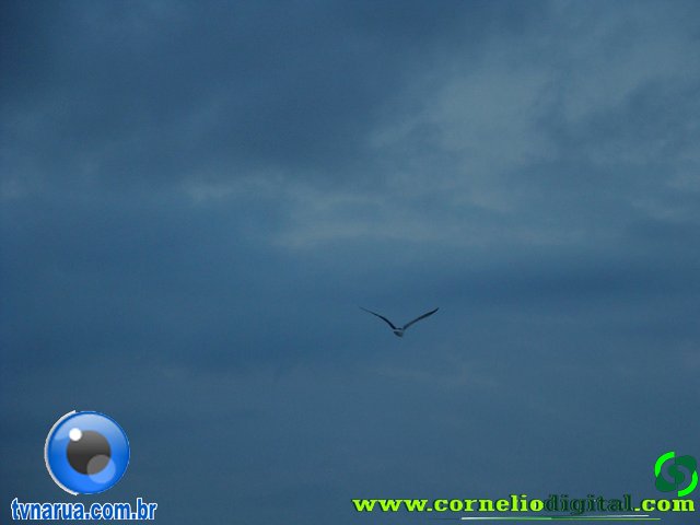 DSC04414.jpg