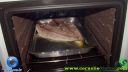 DSC03620.jpg