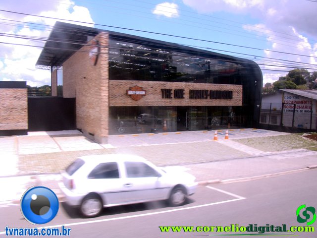 DSC04743.jpg