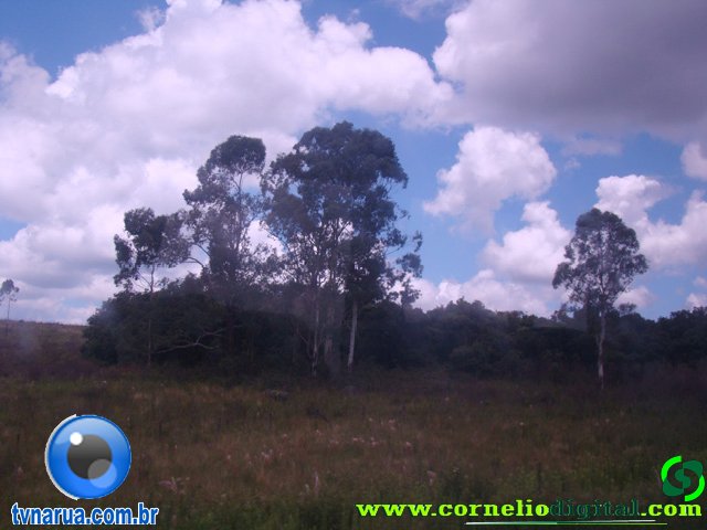 DSC04797.jpg