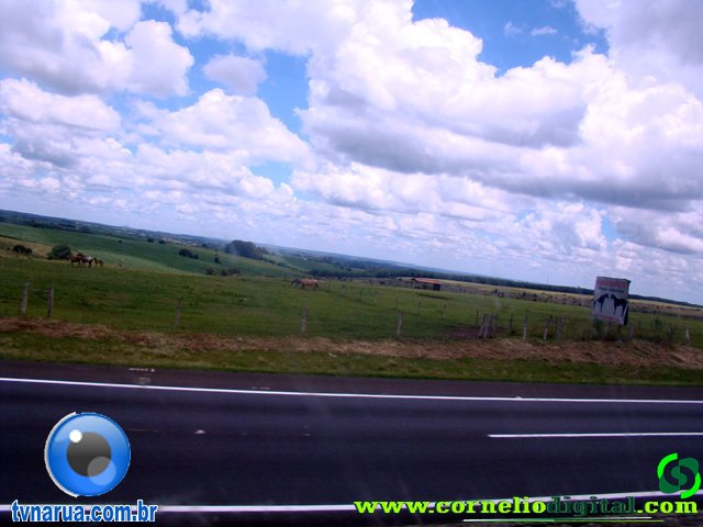 DSC04808.jpg