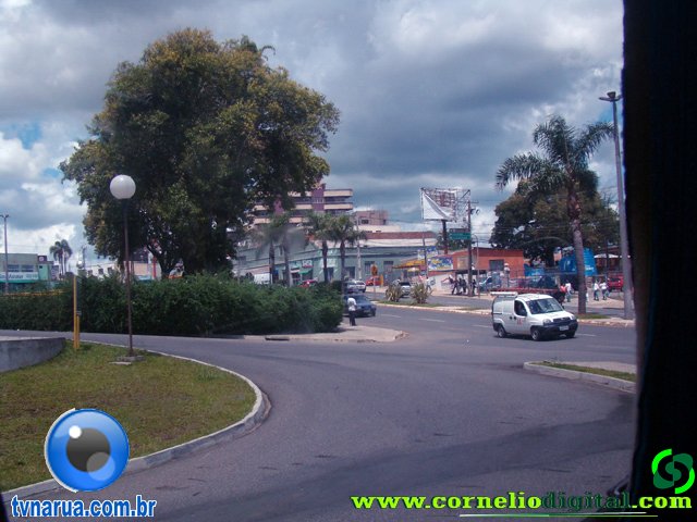 DSC04831.jpg