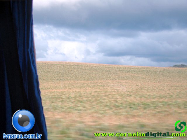 DSC04916.jpg