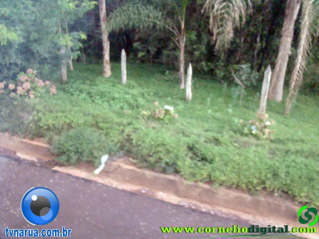 DSC04927.jpg