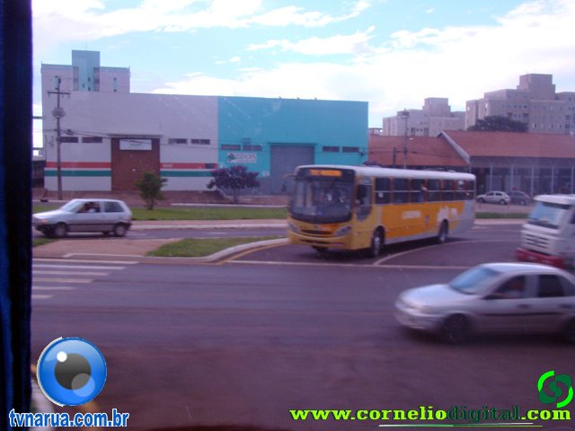 DSC04955.jpg