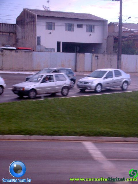 DSC04959.jpg