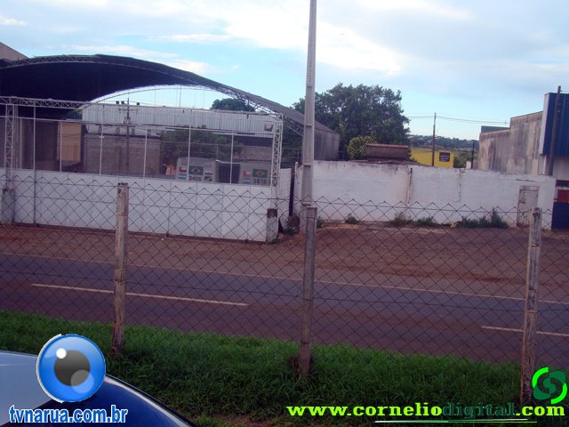 DSC04974.jpg