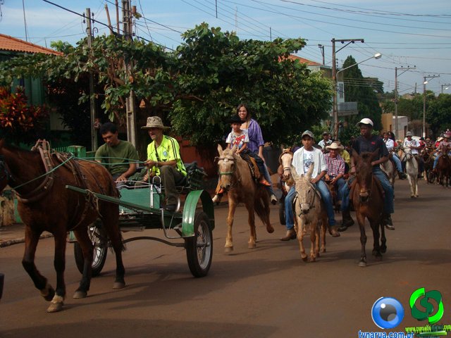 DSC03585.jpg