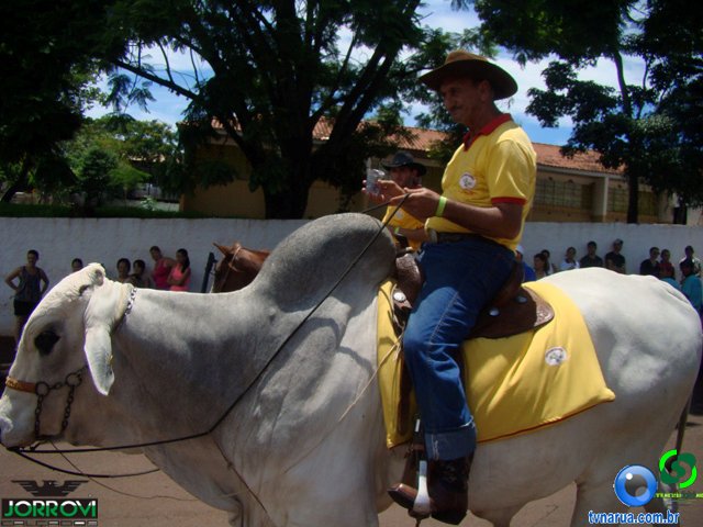 DSC04500.jpg