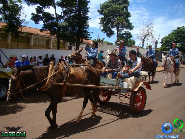 DSC04501.jpg