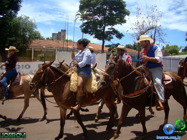 DSC04527.jpg