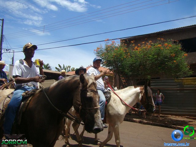 DSC04562.jpg