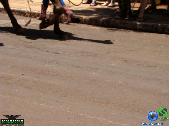DSC04577.jpg