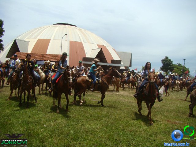 DSC04787.jpg