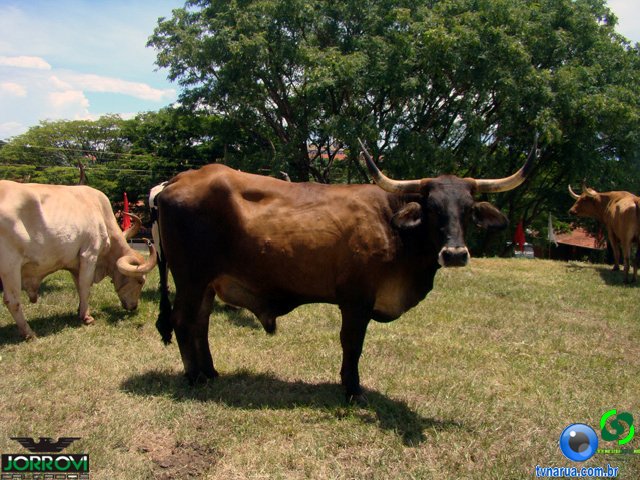 DSC04879.jpg
